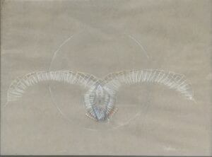 Abstract artwork of a bird by Stephen Carpenter